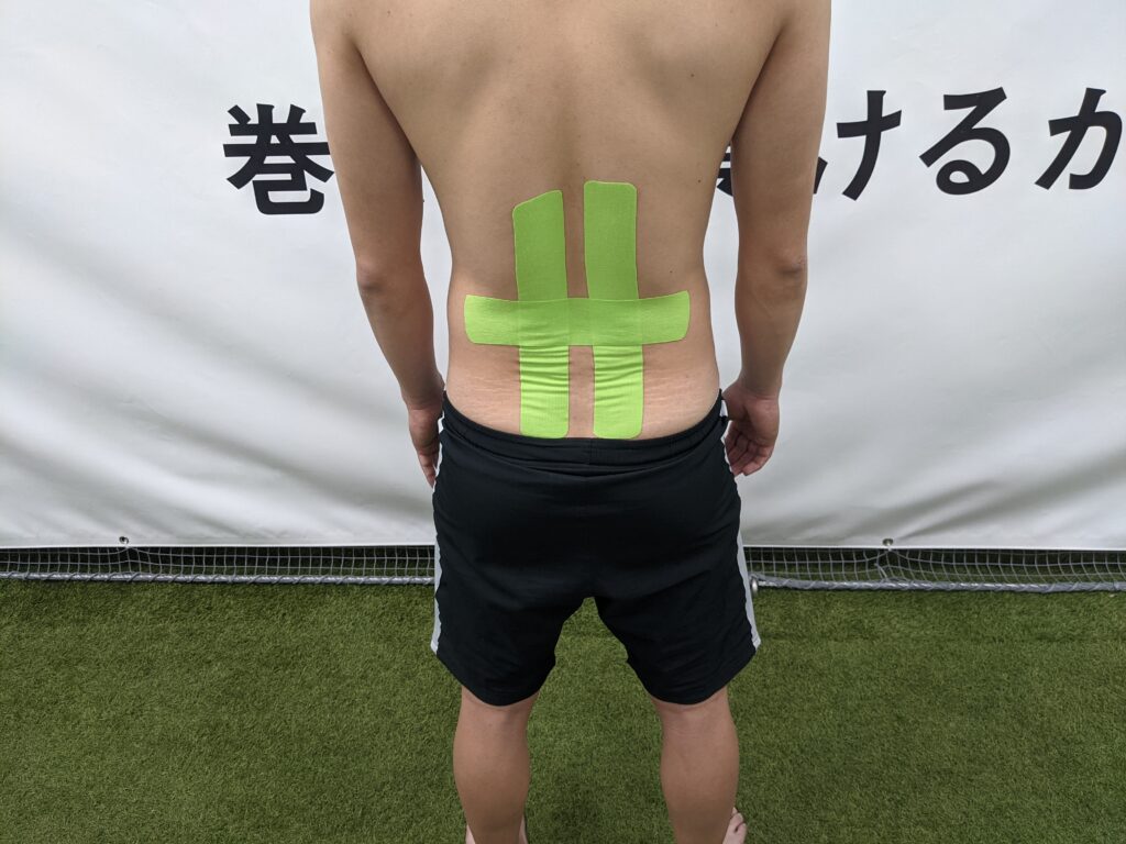 かがむ姿勢 中腰 をした際の腰 背中の張り 痛みに対するテーピング Pleady かがむ姿勢 中腰 をした際の腰 背中の張り 痛みに対するテーピング Pleady