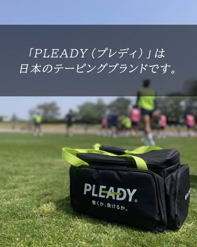 PLEADY
