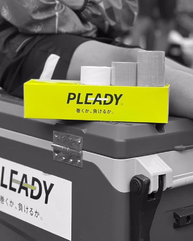 PLEADY