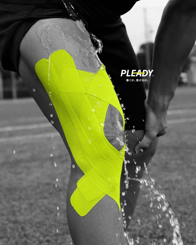 PLEADY